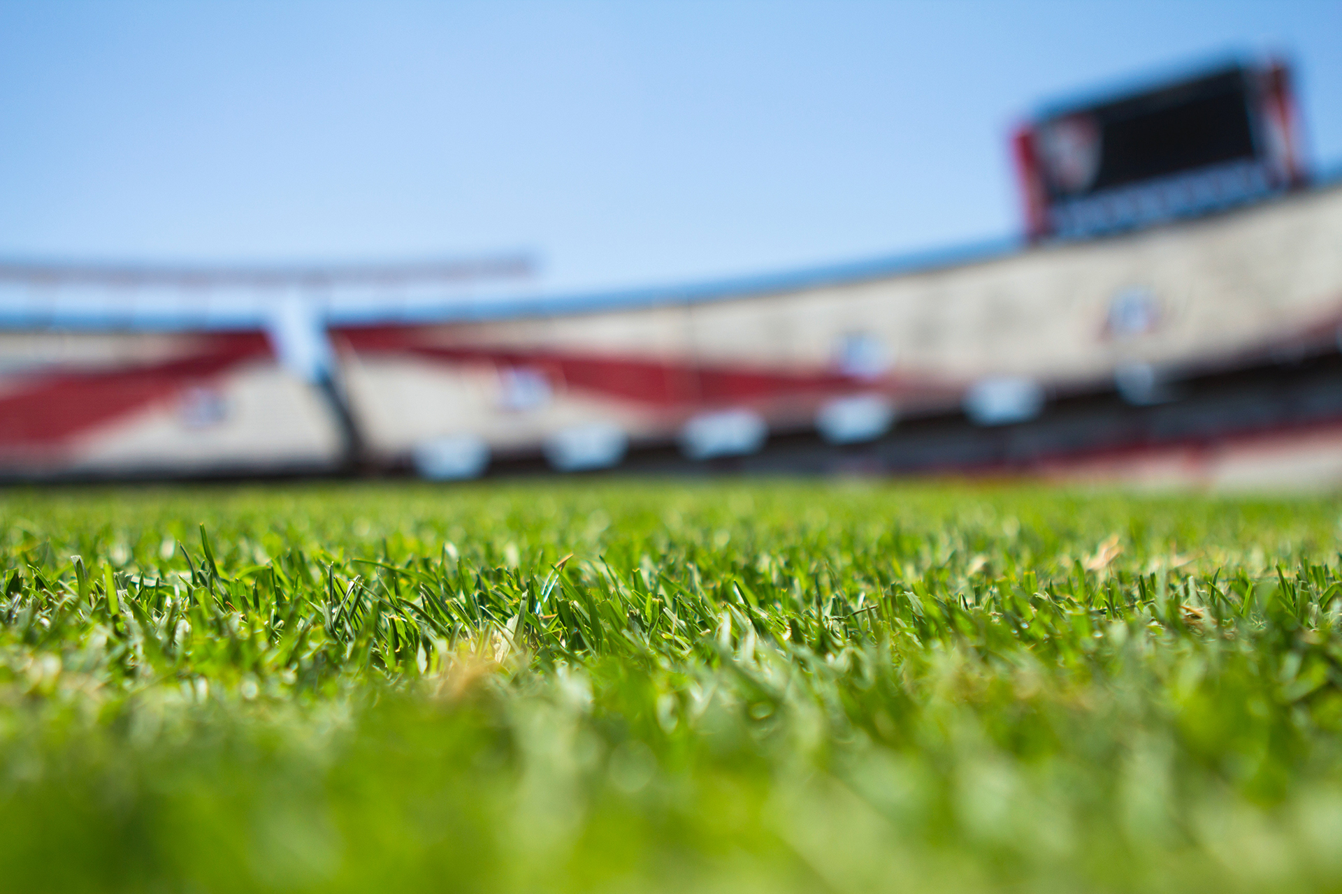 football-field-grass